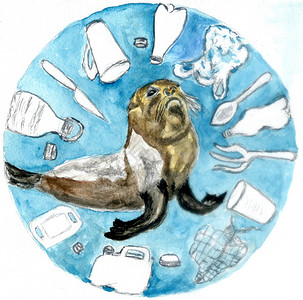 海洋中的塑料废物和海狮被引来图解图片