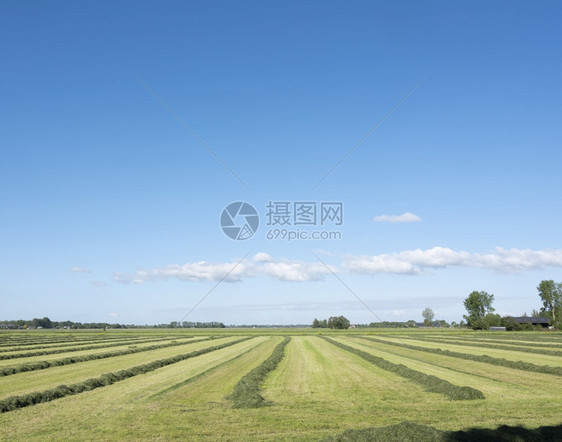 林达姆城附近的内地中心蓝天下山沟里有一片干草图片