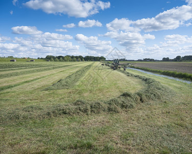 在蓝天空下草原上收割干时用拖拉机和草地在阳光田中形成沼泽图片