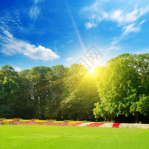 美丽的夏日公园有明亮的花床和绿草坪背景图片