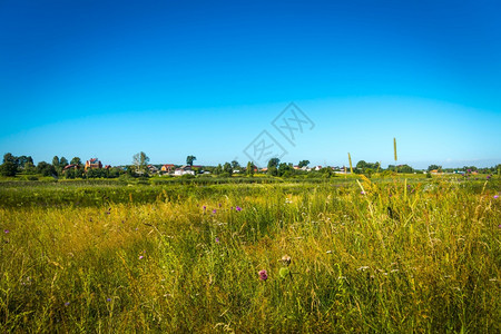 乡村夏季风景与田野蓝天空和绿树图片