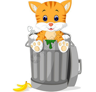 猫在垃圾桶里看图片