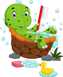 可爱的海龟洗澡图片