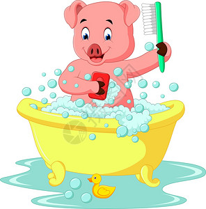 可爱的肥猪洗澡 图片