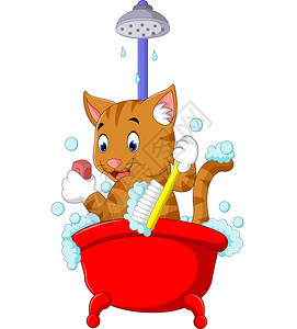 可爱猫咪洗澡 图片