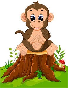 坐在树桩上的猴子图片