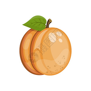 成熟的卡通杏仁水果矢量插图图片