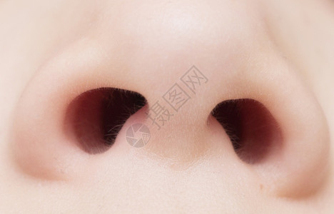 近距离拍下婴儿鼻子图片素材