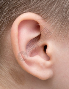 儿童耳朵图片