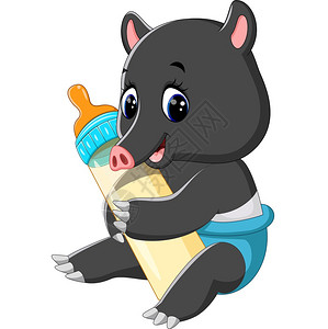 婴儿可爱的猪插图插画