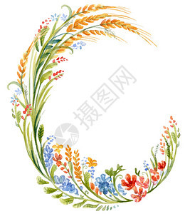 花环在水中的颜色wheat草花矢量设计框架流行的婚礼鲜花锈卡用于印刷设计剪贴画的理想股票插图图片