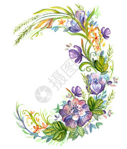 水色中的花环纹彩色和其他古老的植物在白色背景中隔绝用于印刷设计剪贴刻的理想股票插图图片