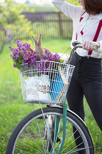 村里的春带着自行车走的女孩和一束长着兔子的花在一个自行车篮子里图片