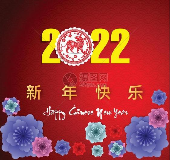 2022年虎年新年卡通老虎封面矢量插画设计模板  图片