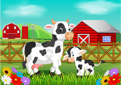 农场里可爱的奶牛图片