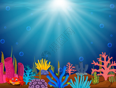海底世界热带珊瑚礁图片
