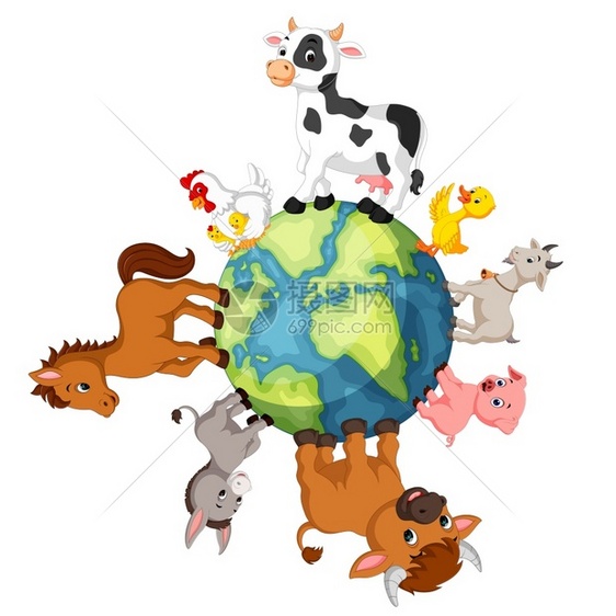 在世界各地站立的农场动物图片
