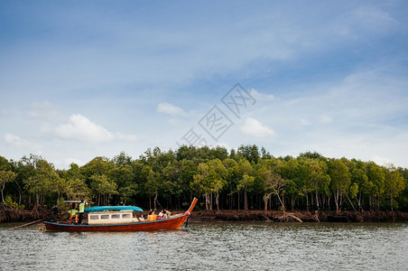 201年jun16206kohlanthilnd在Kohlant红树林运河的旧木旅游船图片