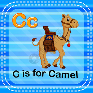 骆驼英文字母开头是c图片素材
