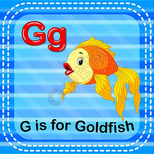 金鱼英文字母开头是G图片