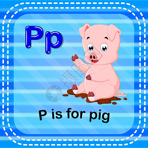 英语单词闪卡图片