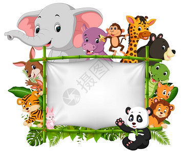 野生动物站在竹架上图片