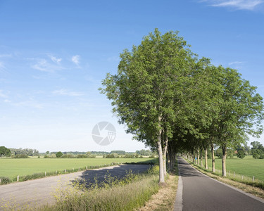 杜特奇省格尔德兰小城镇Bronkhst附近的夏季风景图片