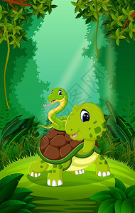 海龟和蛇在清绿的林中图片