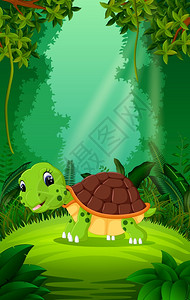 丛林中的乌龟图片