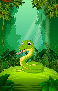 在清绿的林中的蛇图片