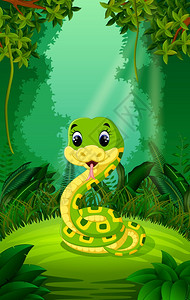 江诗丹顿在清绿的林中的蛇设计图片