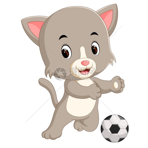 踢足球的猫图片