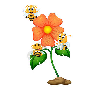 三只蜜蜂飞过一些花朵图片