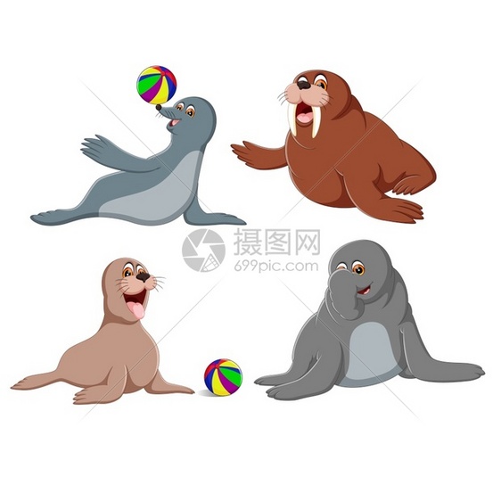 卡通可爱海豹海象矢量插图图片