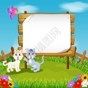木板空间和花旁的两只小猫图片