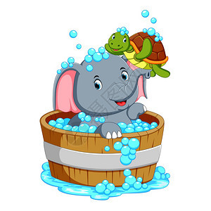 大象和小乌龟在洗澡图片