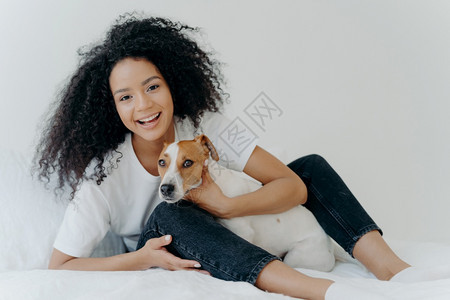快乐的阿夫罗女人与狗同床共枕心情有趣与白色背景一起在卧室里摆姿势女孩在家和杰克罗瑟尔特里一起放松图片