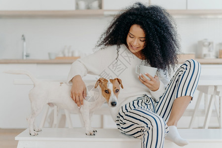 阴阳色的年轻女喝香水玩狗和舒适的厨房表达爱抚育动物与人之间的友谊图片