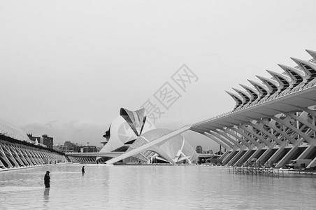 201年oct3120ValenciSpn现代黑人和白艺术科学城市结构工人清洁大型游泳池由Santigocltrv和felixc图片