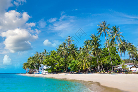 夏日在泰河沿岸的KohSamui岛有棕榈树的热带海滩图片