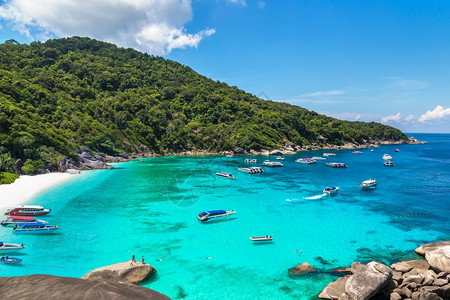 夏季日对西米兰岛泰河沿岸的热带景观全图片