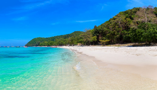 夏日在泰国普吉岛附近的珊瑚图片