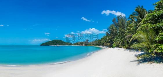 夏日在泰河沿岸的KohSamui岛有棕榈树的热带海滩图片