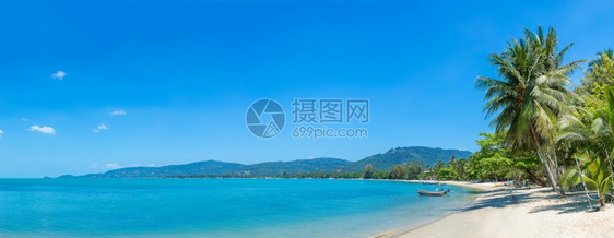 夏日在泰河沿岸的KohSamui岛有棕榈树的热带海滩图片