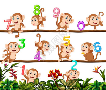 我们跟猴子一起数吧图片