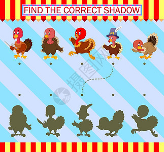 寻找正确的影子漫画可爱的火鸡鸟插图图片