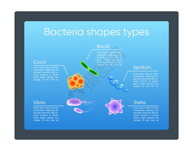 细菌形状了现实的颜色矢量信息模板类型微生物海报小册子带有3d插图的pt页面概念设计广告传单信息横幅概念细菌形状了现实的颜色矢量信图片