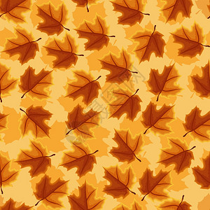 枫叶树秋秋季节无缝图案背景图片