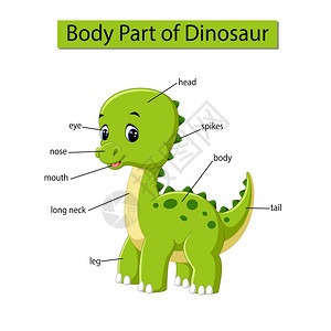 显示恐龙身体部分的图表图片