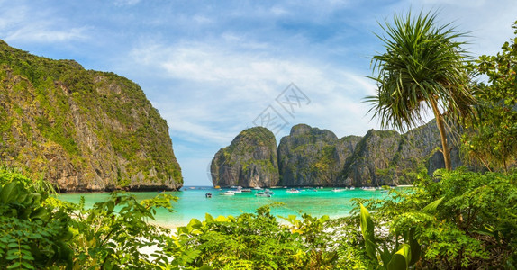 夏日在泰河沿岸的Kohiple岛的马雅湾全景图片